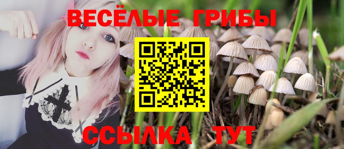 Псилоцибиновые грибы GOLDEN TEACHER  Вход с VPN  Псилоцибиновые грибы Magic Shrooms  Ялуторовск 